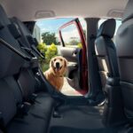 Cão a entrar para o banco traseiro de um carro grande da Honda.