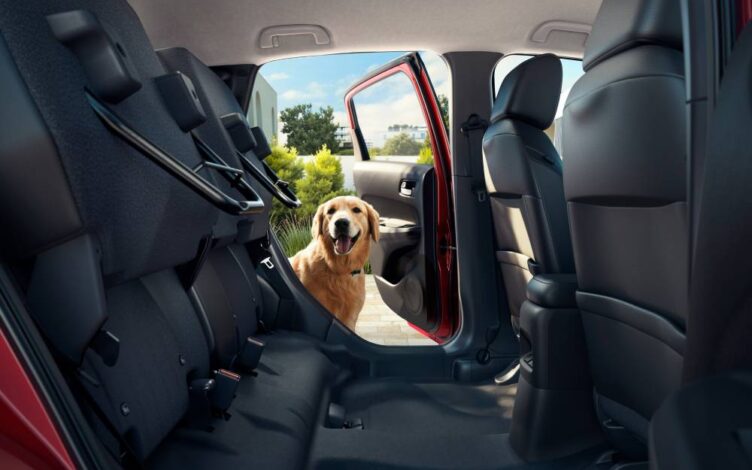 Cão a entrar para o banco traseiro de um carro grande da Honda.