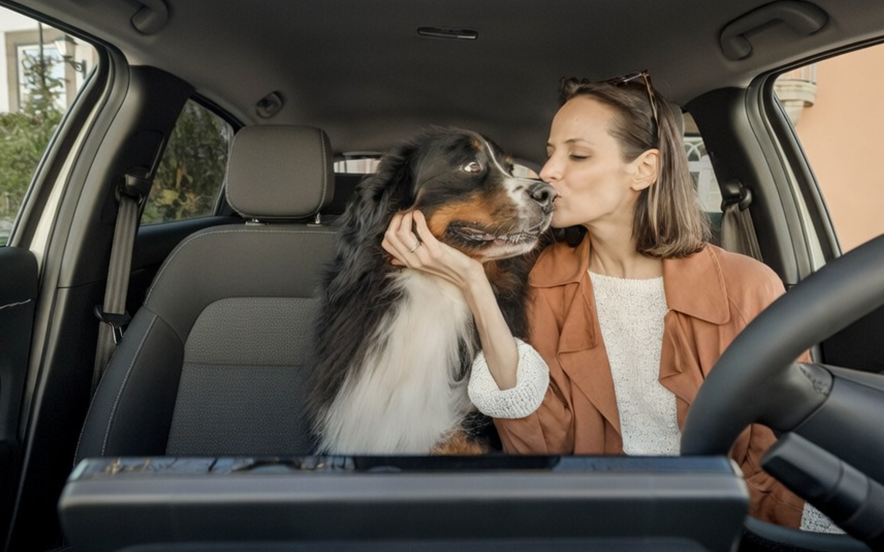 Mulher sentada no lugar do condutor inclina-se para dar um beijo a um cão de porte médio sentado no banco ao lado, dentro de um carro estacionado.