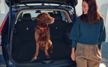 Mulher a olhar para cão dentro da bagageira de um Honda