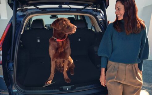 Mulher a olhar para cão dentro da bagageira de um Honda